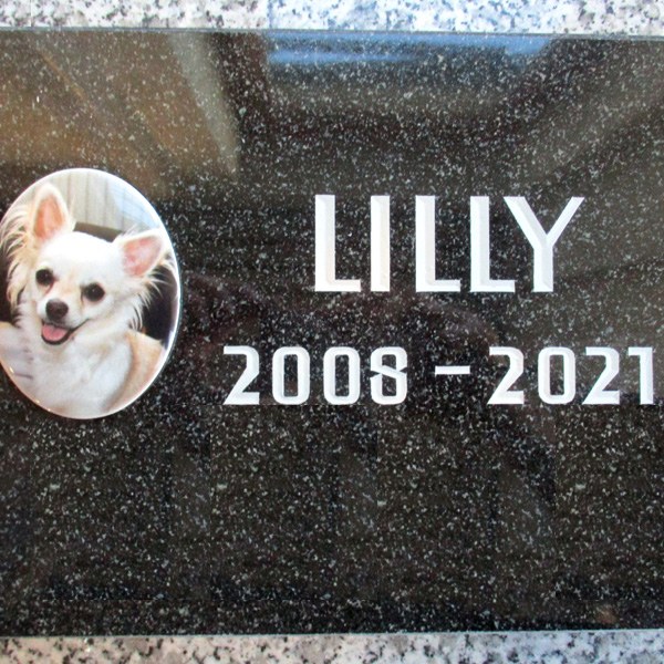 Zechmeister - Gedenkplatte mit Porzellanbild für einen Hund
